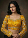 Full sleeve zari work blouse